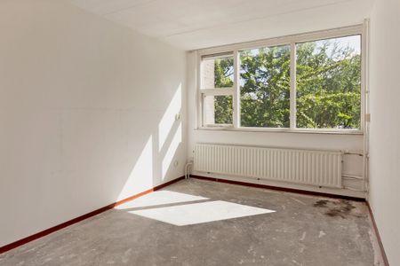 Molenbrink, 47, 's-gravenhage - Photo 4