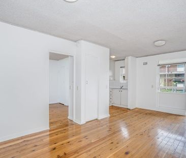 17/776 Canterbury Road, Belmore NSW 2192 - Apartment For Rent | Domain - Photo 2