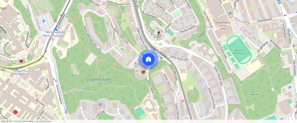 Doktor Fries Torg, Göteborg