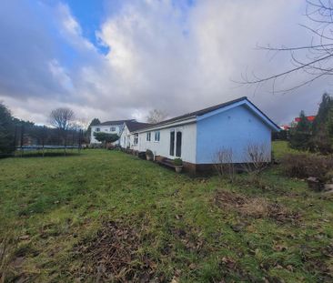 1 bedroom bungalow to rent - Photo 5