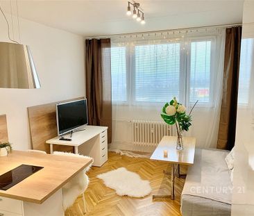 Pronájem bytu 1+kk 24 m² - Fotografie 1