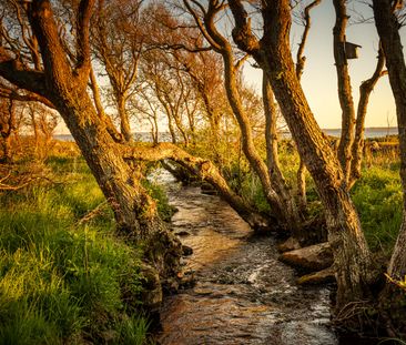 Södra Hovallsvägen, Förslöv - Foto 1