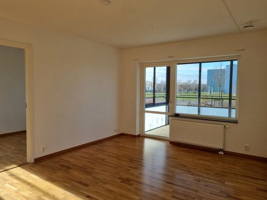 Maja Lisa Grönbergs väg 17, Skegrie - Foto 1