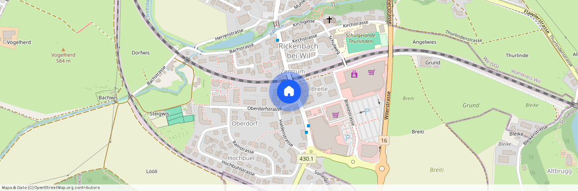 Neue Jonastrasse 115, 8640, Rapperswil Sg