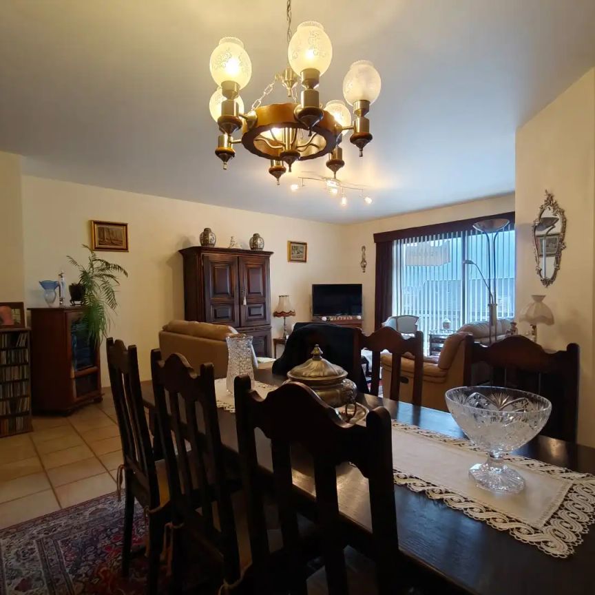 Ruim appartement met terras te Lokeren - Foto 1