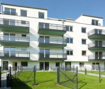 1-Zimmerwohnung mit Loggia und sehr guter Infrastruktur nahe der Do... - Photo 6