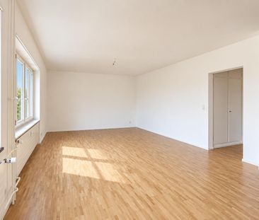 renovierte 1- Zimmerwohnung in Basel nähe Felix Platter Spital - Photo 1
