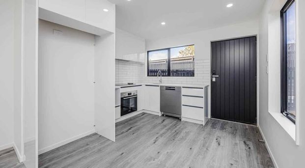 Branch New Modern Home in Favona - Photo 1