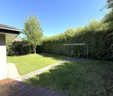 Newly Renovated Comfortable Family Home - Photo 5