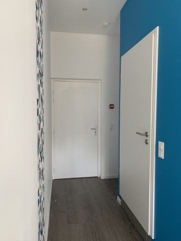 Location Appartement 1 pièce 19m² SARREGUEMINES 57200 - Photo 4