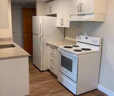 Heritage Apartments – 2 bedrooms, 2 bathrooms! - Photo 6