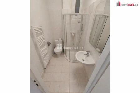 Pronájem bytu 1+kk, 21,3 m - Fotografie 5