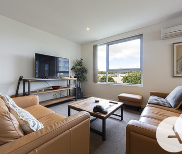 35/98 Corinna St, Phillip ACT 2606 - Apartment For Rent | Domain - Photo 4