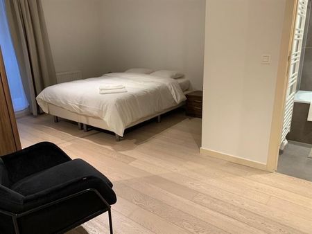 Parc Botanique! BEL APPARTEMENT MEUBLE 1 chambre + terrasse - Foto 4