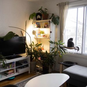 Chambre à Louer 4 1/2 - Photo 3