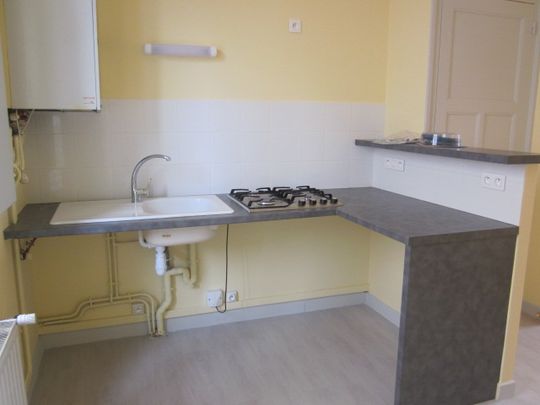 Location Appartement 3 pièces 54m² FEURS 42110 - Photo 1