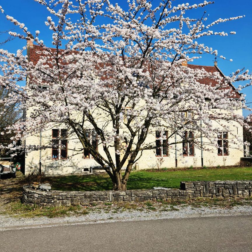 Boerderij te huur - Photo 1