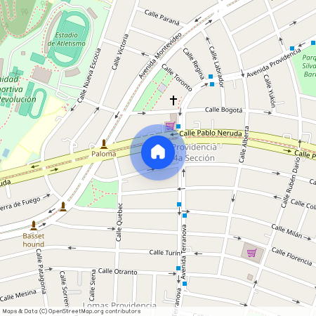 Avenida Pablo Neruda 3051, Providencia 4ta Sección, Guadalajara
