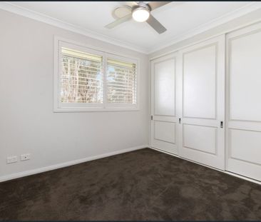 Spacious Renovated Home on a Large Block - Photo 3