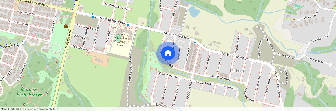 45 Rana Road, Flat Bush, Manukau City