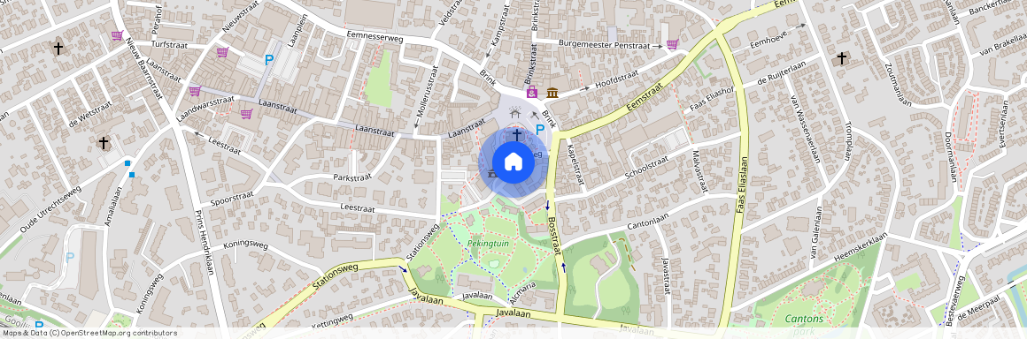 Hip! Handel in Platen, Laanstraat 93, 3743 BD Baarn, Netherlands