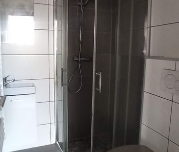 Location Appartement 1 pièce 16m² WISSEMBOURG 67160 - Photo 3