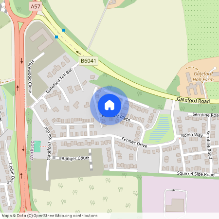 at Hall Park, 38 Redstart Place, Worksop S81