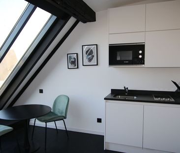 Location Appartement 1 pièce 15m² LILLE 59000 - Photo 3