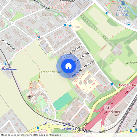 Avenue de Praz-Rodet 11, Morges