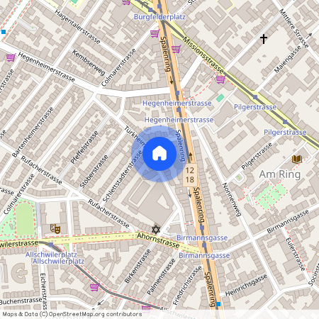 4055, Basel, Türkheimerstrasse, 44