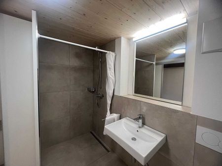 Moderne 2.5-Zimmer-Duplex in Stein AG mieten - Photo 5