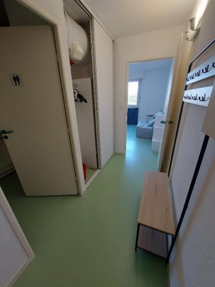 Location Appartement 1 pièce 18m² RAMONVILLE ST AGNE 31520 - Photo 1