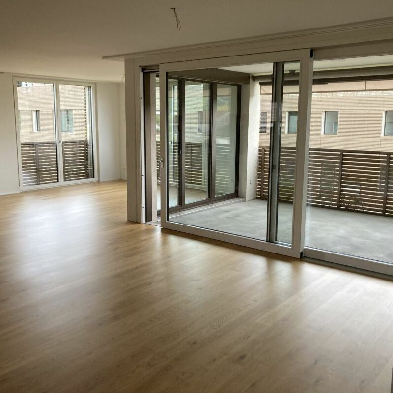 Moderne 4.5-Zimmerwohnung mit Weitsicht - Photo 1