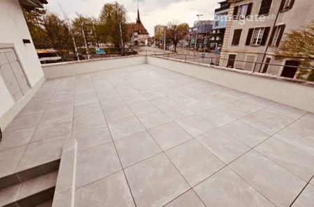 Superbe 3 pièces avec immense terrasse Chêne-Bourg - Photo 5