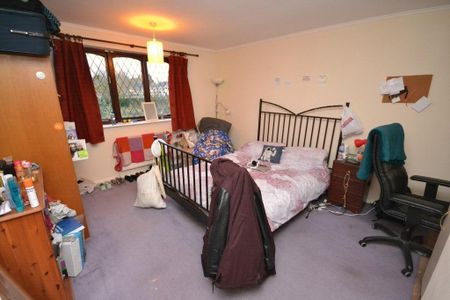 2 bedroom house share to rent - Photo 3