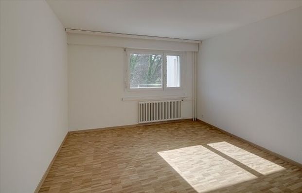 Family nest - Photo 1