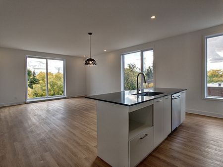 Rue Airlie, H8R 2A1, Montréal - Photo 5