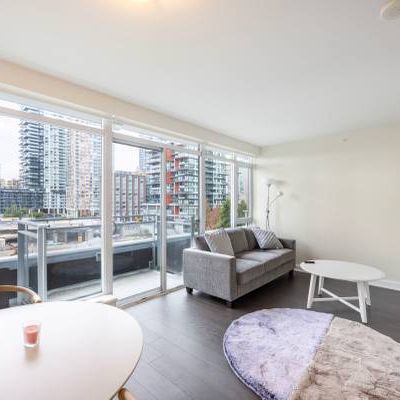 1 Bedroom Condo (fully furnished) Den & Balcony- Yaletown / Downtown - Photo 4