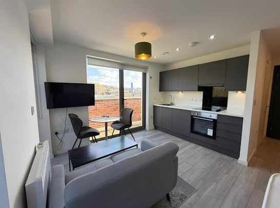 Studio Flat, Liverpool, L5 - Photo 1