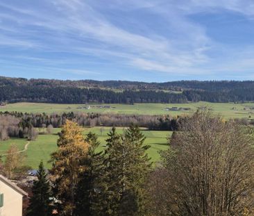 Grand jardin - Photo 6