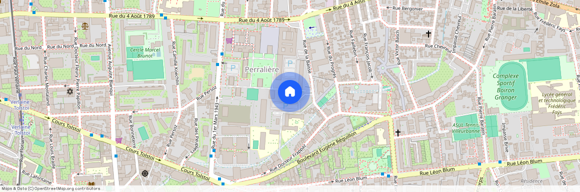 32 Rue de la Baïsse, 69100 Villeurbanne, France