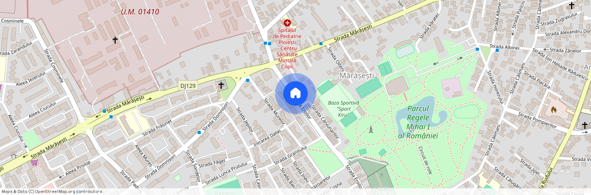 Ploiesti, Cioceanu, Zona: Cioceanu