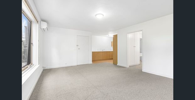 Park-adjacent freshly painted and carpeted apartment - Photo 1