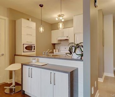 Condo 31/2 meublé, équipé , tout inclus MAGOG - Photo 4