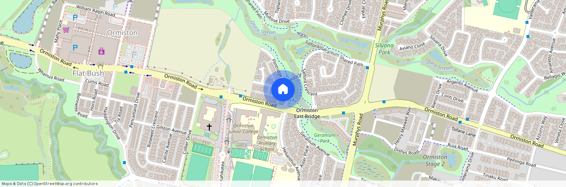 10 Flintridge Drive, Flat Bush, Manukau City