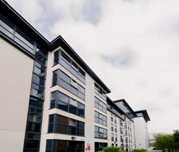 Extra Large Ensuite - Photo 5