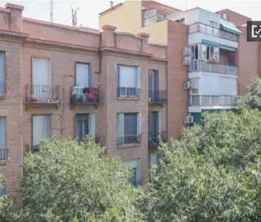 Madrid - Photo 4