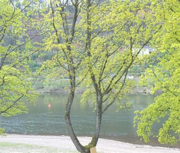 Wunderschöne 2-Zimmerwohnung mit tollem Ausblick auf die Mosel und ... - Photo 1