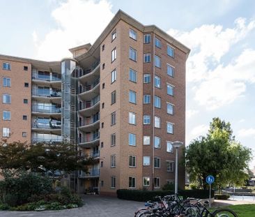 Te huur: Appartement Van Reigersbergenstraat in Amsterdam - Photo 3