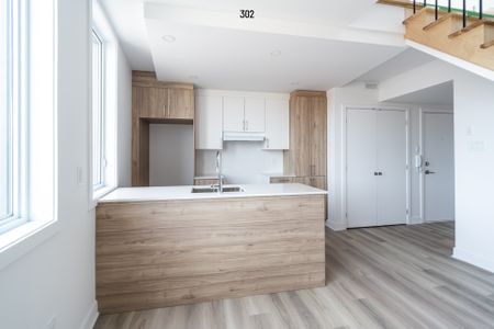 Condo for rent, Montréal (Rosemont/La Petite-Patrie) - Photo 3